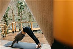 Digital Burnout Retreats: Escaping Screens Without Leaving Town