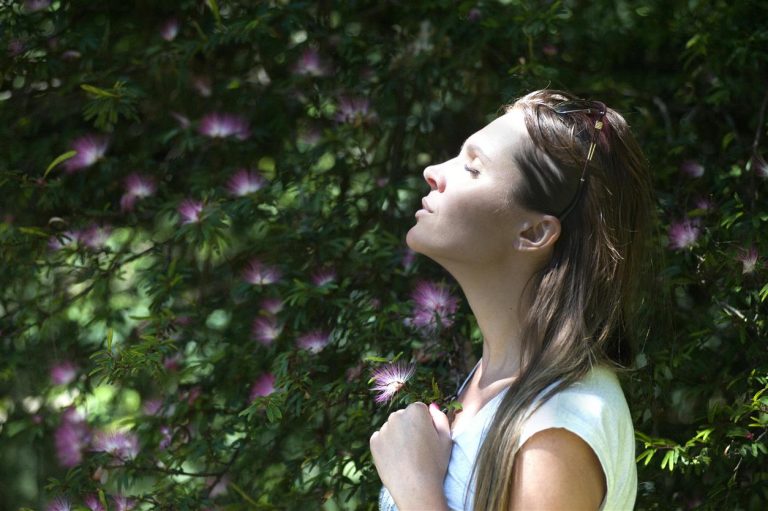 Noise Pollution and Your Sanity: The Quiet Life Movement