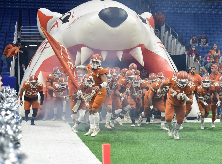 The Reinvention of Mascots: Branding, Identity, and Meme Culture in Sports