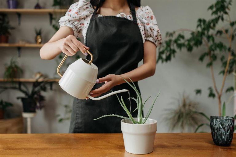 Nature-Integrated Lifestyles: The Rise of Green Living