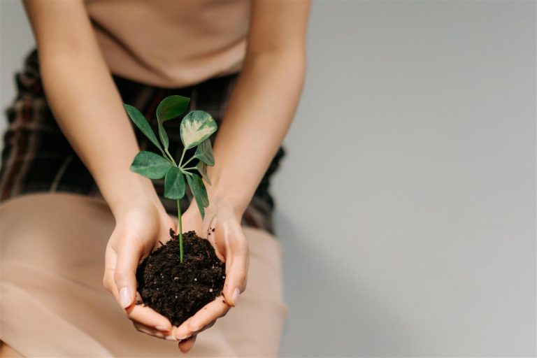 Eco-Conscious Living: Beyond Recycling and Into Regeneration