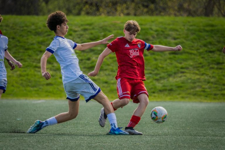 Youth Sports and the Overtraining Epidemic: A Crisis in the Making