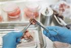 Lab-Grown Meat: Can It Feed the World?