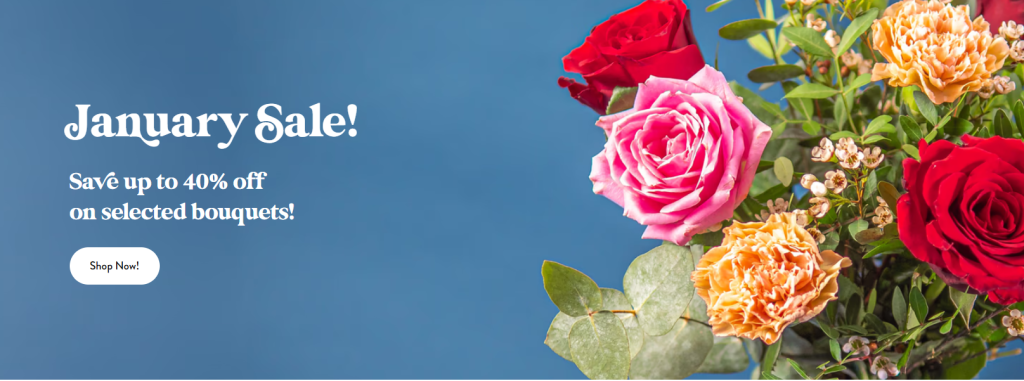 A Detailed Overview of eFlorist and Its Place in the UK Flower Market