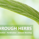 Screenshot 2026-03-29 160235