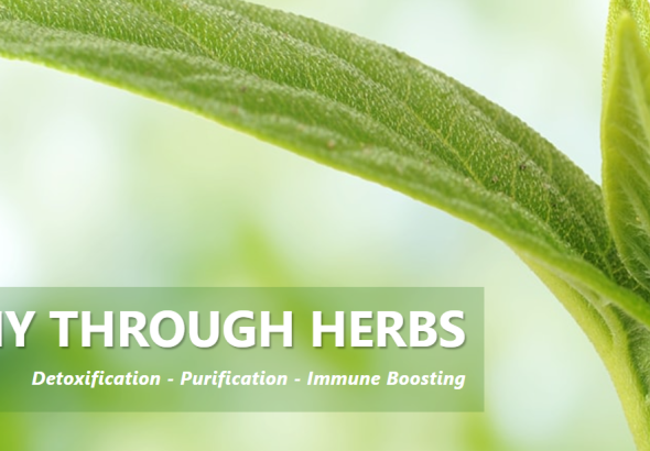 Screenshot 2026-03-29 160235