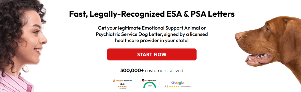 Screenshot 2026-03-31 170505