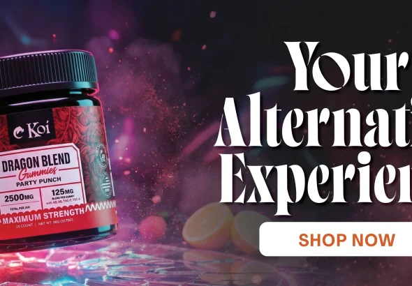 6978c052c472e_image_1769521234