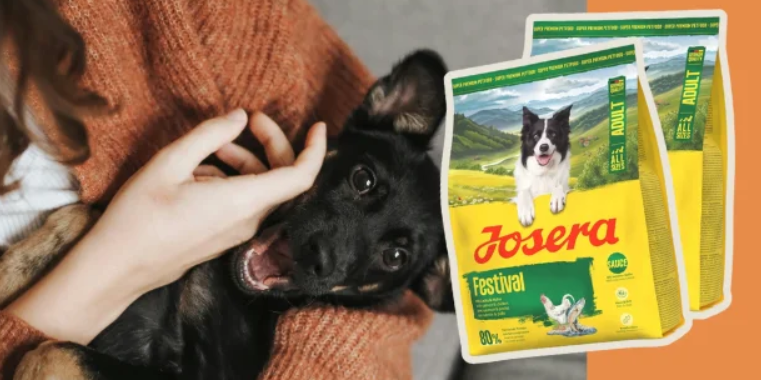 Screenshot 2026-04-23 124652